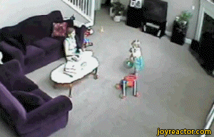 over-protective-cat-gif-1469662.gif
