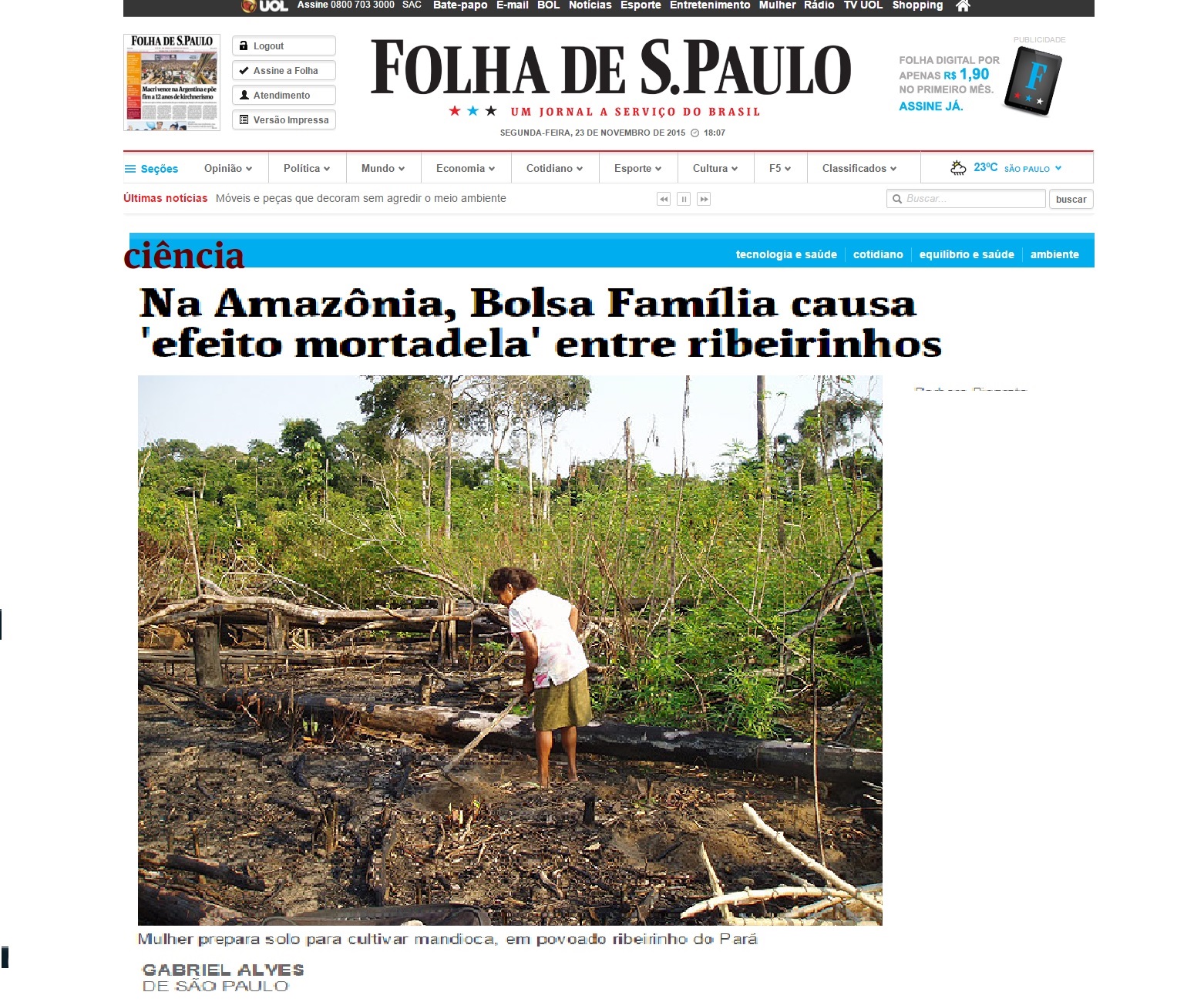 Folha-Piperata2.jpg