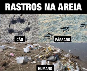 humano-praia-c%C3%A3o-p%C3%A1ssaro-.jpg