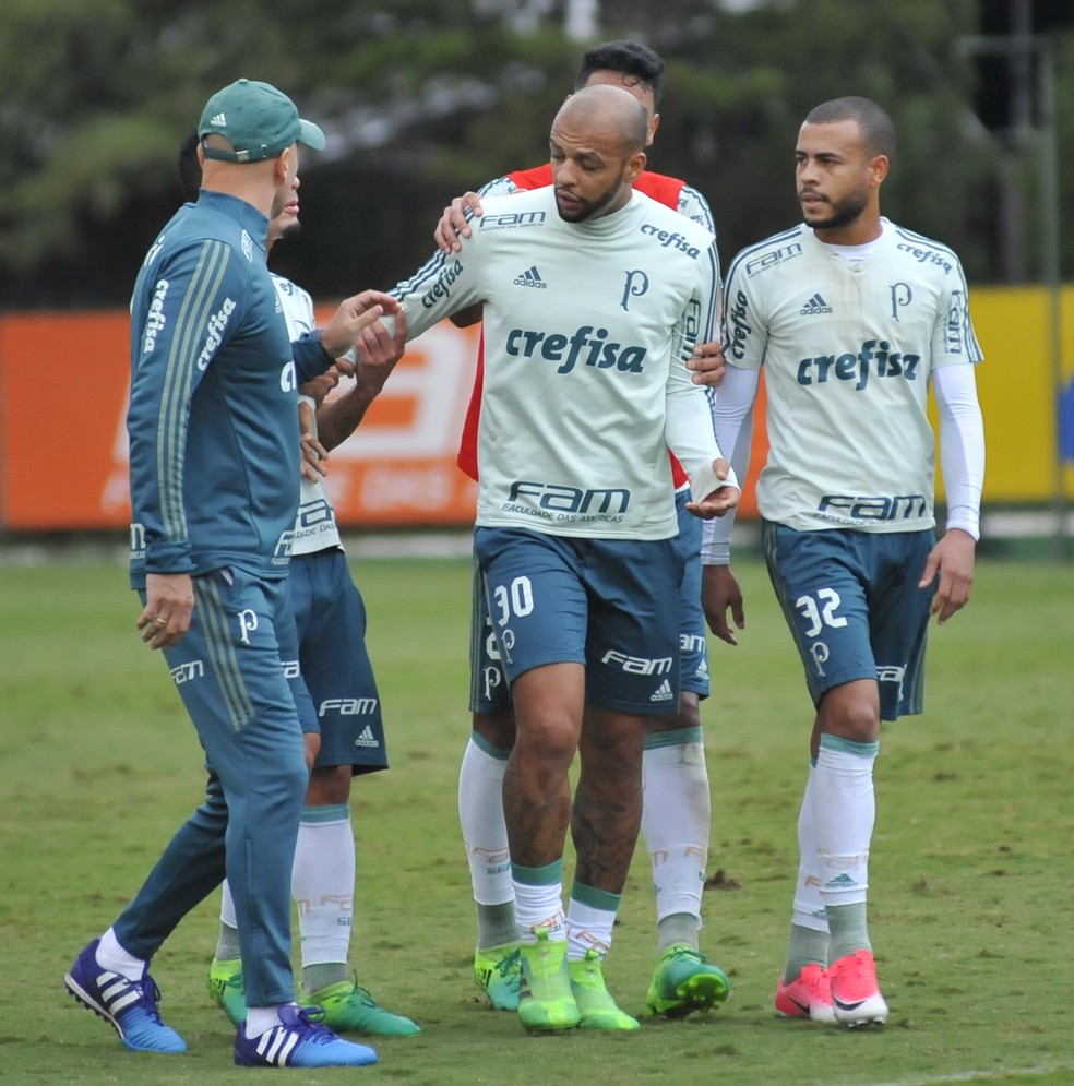 palmeiras2.jpg