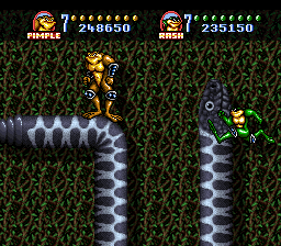 382584-battletoads-in-battlemaniacs-snes-screenshot-scaling-the-snakes.png