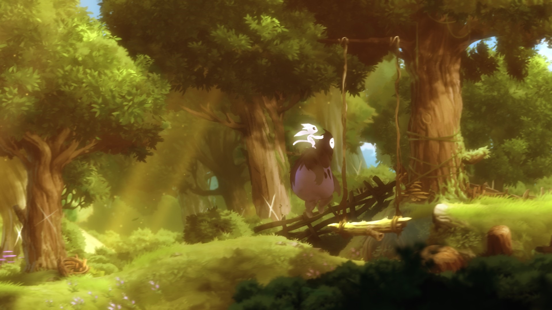 Ori-and-the-Blind-Forest-01.jpg