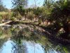 lago reflexo redimensionada.jpg