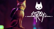 stray-historia-gameplay.jpg