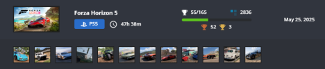 Forza H5 48h.png