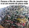 IMG_7862.jpeg