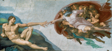 IMG_4252.gif