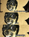 1756392039900.png