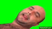 IMG_2494.gif