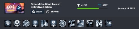 ori and the blind forest 9h.jpg