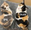 oled.jpg