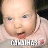 meme-74999--CANALHAS.jpg