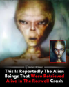 1777502987990.png