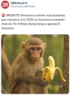 1780419210656.png