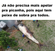 IMG-20230331-WA0003.png