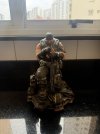 IMG_1248.JPEG