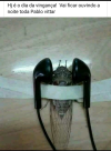 1790628645714.png