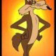willy_the_coyote