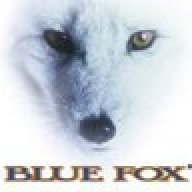 Blue Fox