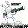 Internet Serious Business