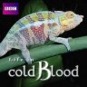 ColdBloodedLife