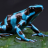 PoisonFrog_