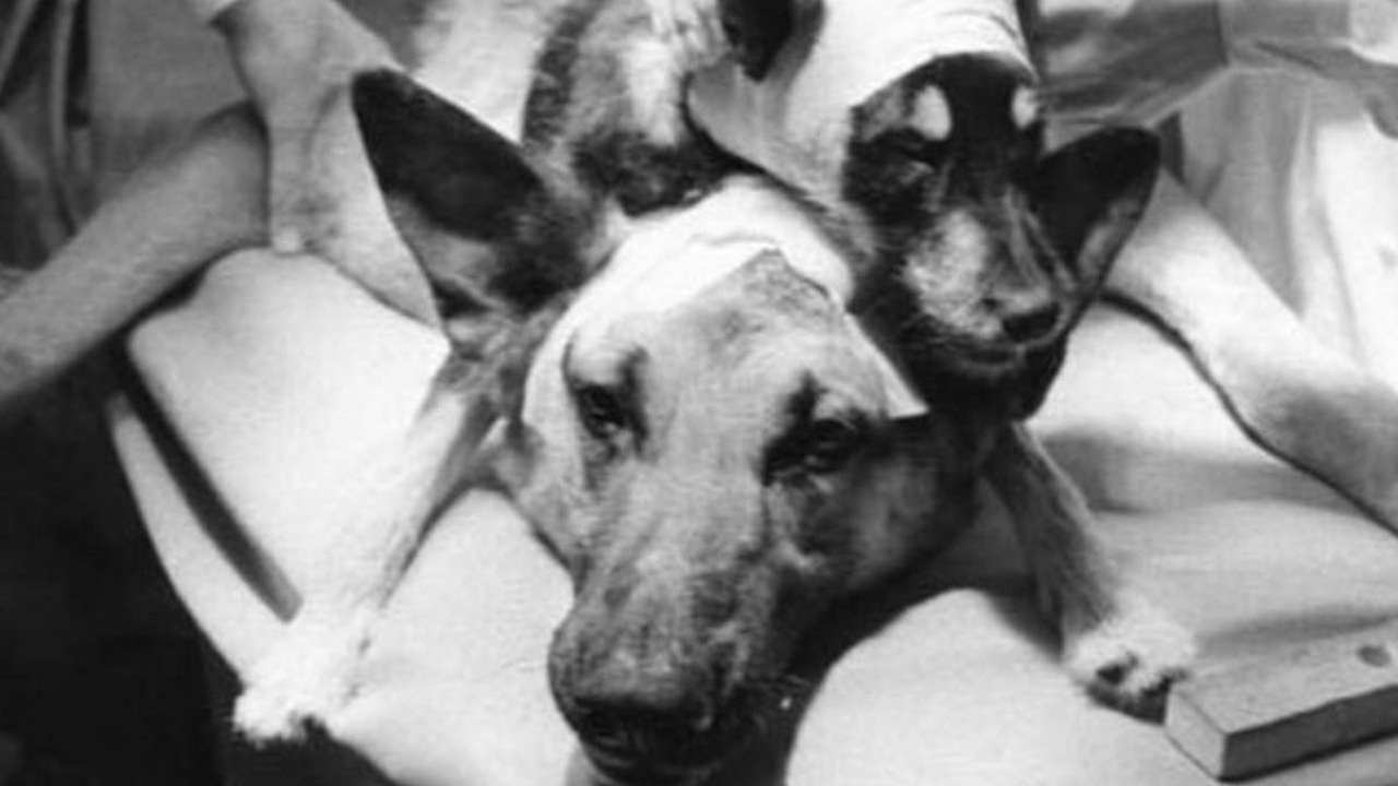 aventurasnahistoria.com.br