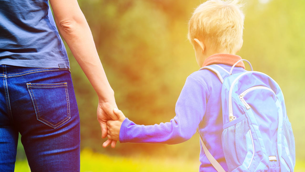 terrabrasilnoticias.com