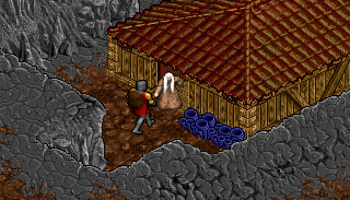 screen19.gif