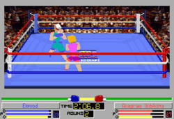 250px-4D_Sports_Boxing.png