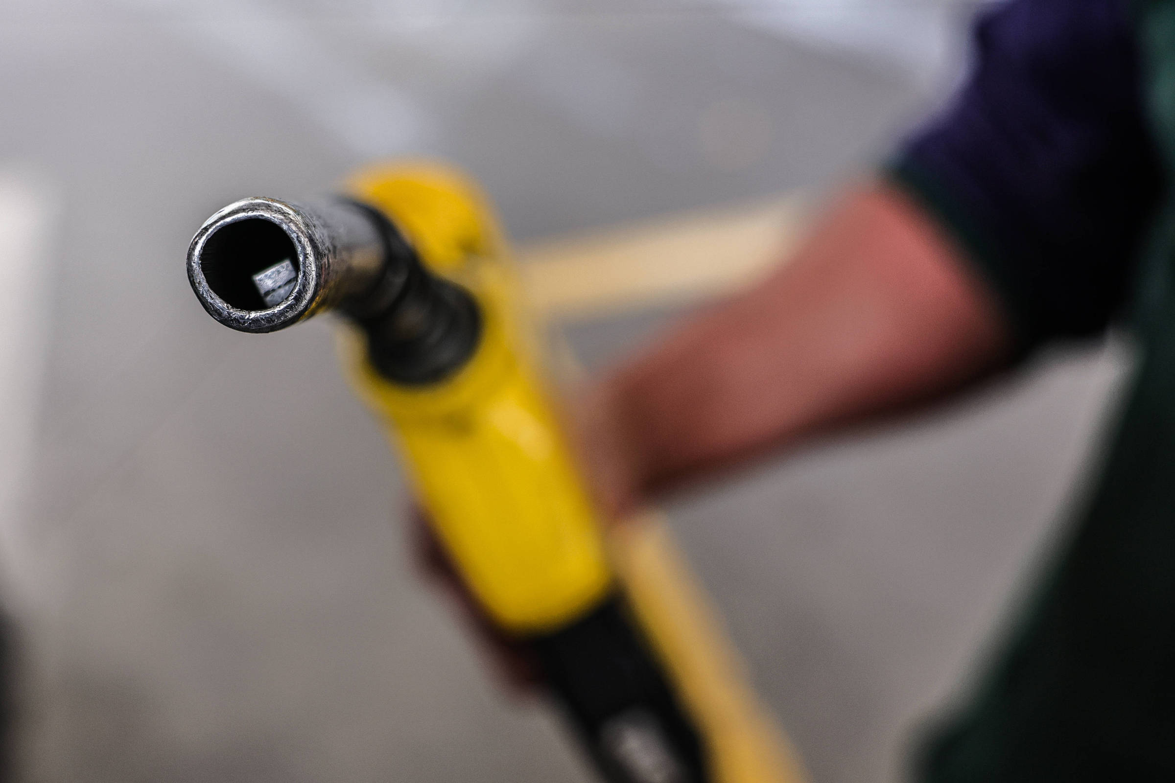 www1.folha.uol.com.br