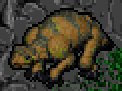 torax.jpg