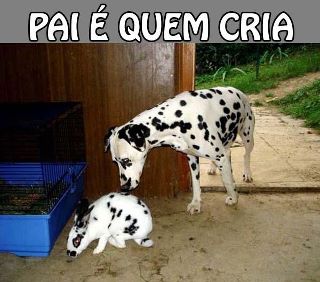 pai+e+quem+cria.jpg