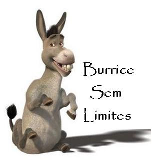 burrice+sem+limites.JPG