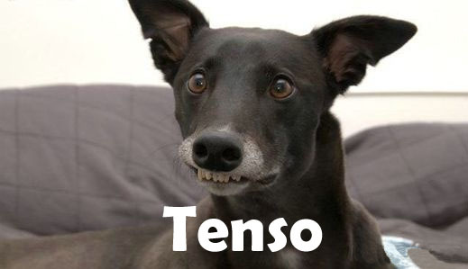 tenso.jpg