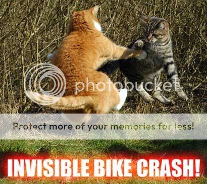 invisible_bike_crash_410.jpg