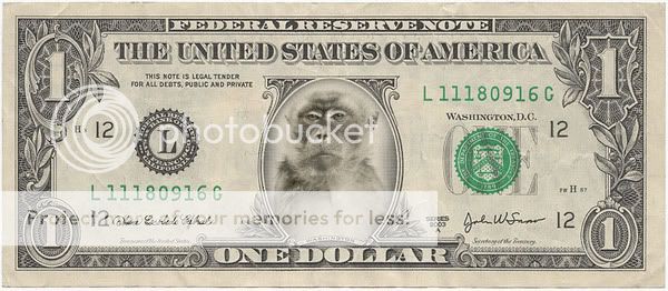 dollar-macaco.jpg