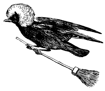 cartoon-black-bird-wig-flying-broom.gif