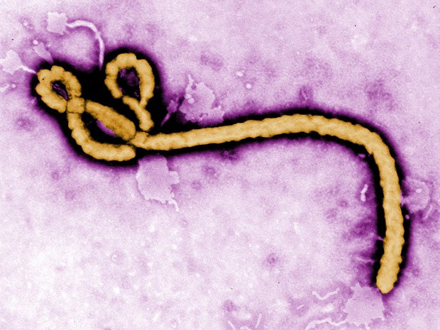 virus-ebola.jpg