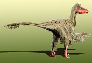 300px-Dromaeosaurus_BW.jpg