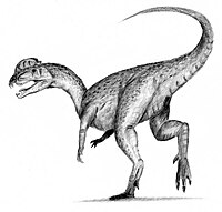 200px-Dilophosaurus.jpg