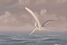 220px-Pteranodon-sternbergi_jconway.jpg