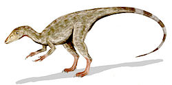 250px-Compsognathus_BW.jpg