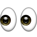 eyes-icon.png