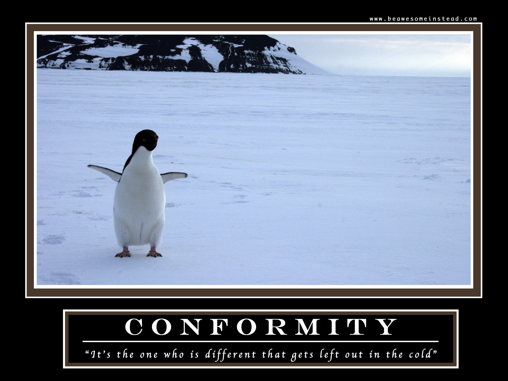 conformity.1680.1260.jpg