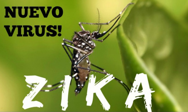 Zika-V%C3%ADrus.-Transmissor.png