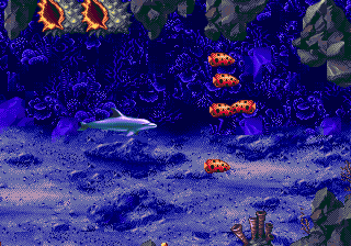 33482-ecco-the-tides-of-time-genesis-screenshot-colored-fishes.gif