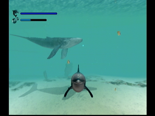 Ecco the dolphin on sale dreamcast