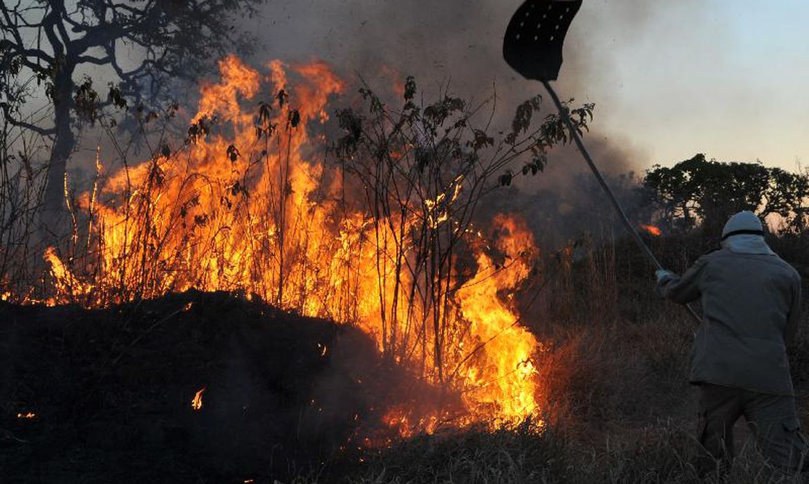 jornaldebrasilia.com.br