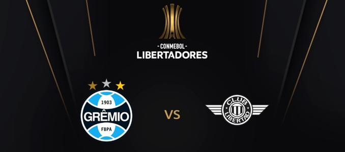 www.copalibertadores.com